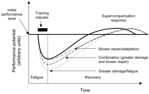 Aging and training adaptations